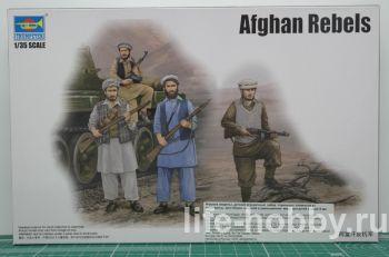 00436   / Afghan rebels