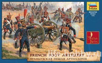 8028 French foot artillery (  ), 1810-1815