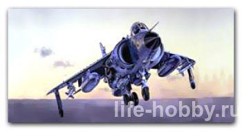 1236 BAe Sea Harrier FRS.1