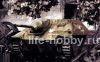 13278 Jagdpanzer 38(t) Hetzer "Early version" (   ,  )