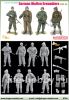 6704    1944-45 / German Waffen Grenadiers 1944-45