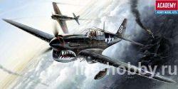 12465  P-40M/N Warhawk The fighter of World War II (ʸ P-40M/N       )