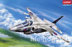 12606  Sepecat Jaguar (   )